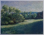 Louky u Hájku I, 23,5x29,5 cm, tempera